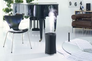 steam humidifier