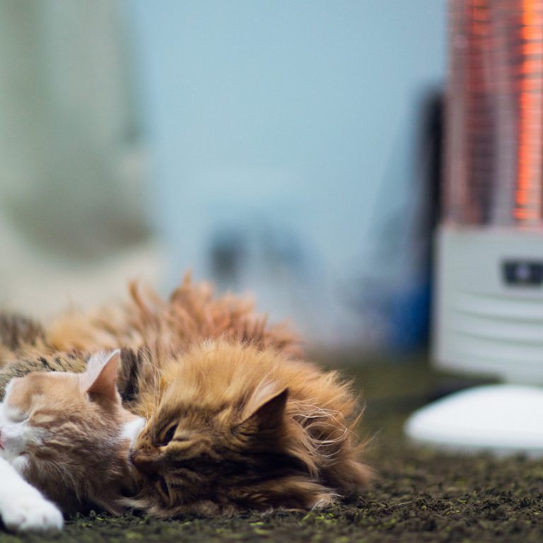 The best heaters for home and apartment