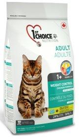 Best cat food in 2025