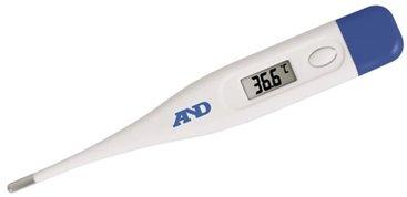 Best thermometer in 2025