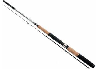 Best spinning rods in 2025