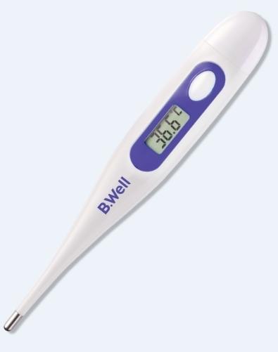 Best thermometer in 2025