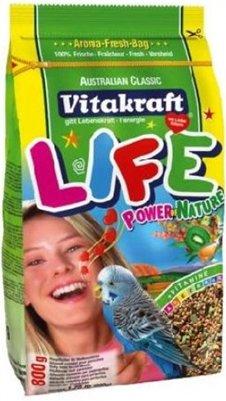 Best food for parrots in 2025