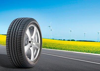 How to choose tires