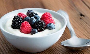 How to choose a yogurt maker