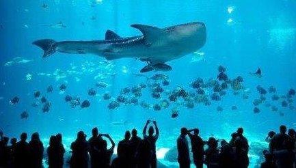 Best Moscow Oceanarium in 2025