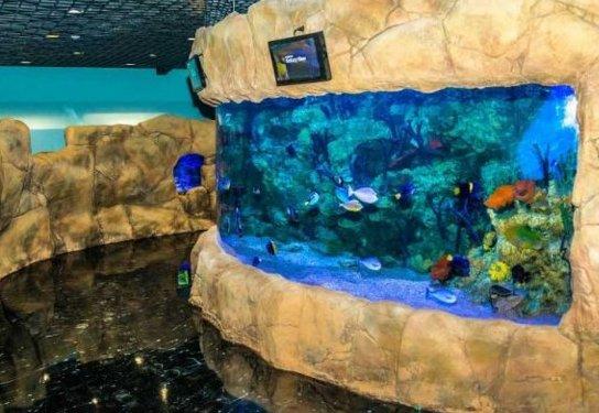 Best Moscow Oceanarium in 2025