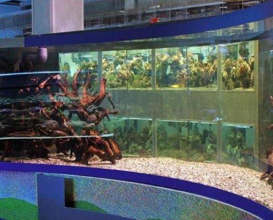 Best Moscow Oceanarium in 2025