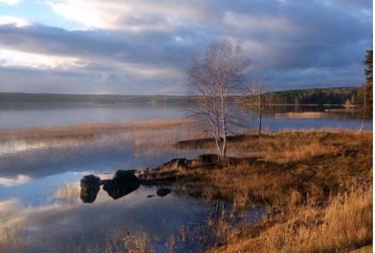 The best recreation centers in Karelia in 2025