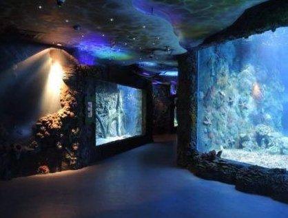 Best Moscow Oceanarium in 2025