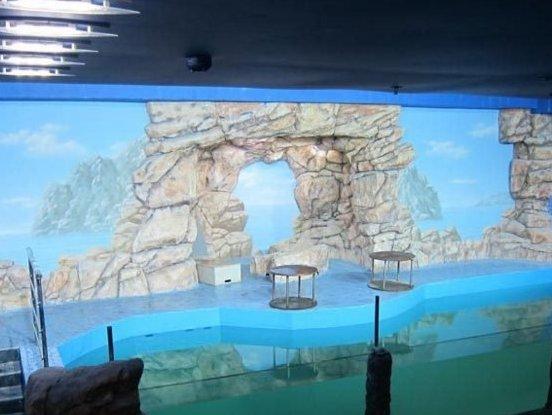 Best Moscow Oceanarium in 2025