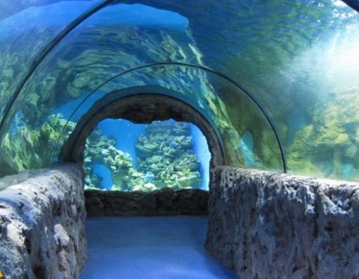 Best Moscow Oceanarium in 2025