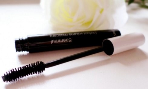 Inexpensive mascara The Saem Saemmul Perfect Curling Mascara