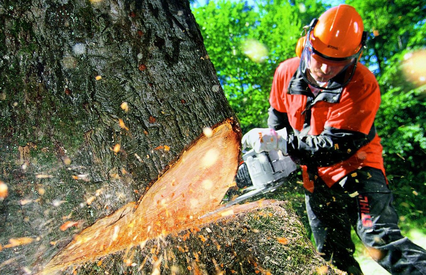 Best Electric Chain Saws