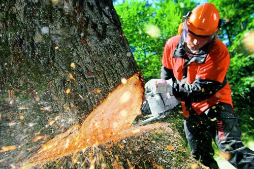 Best Electric Chain Saws