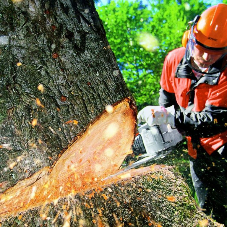 Best Electric Chain Saws