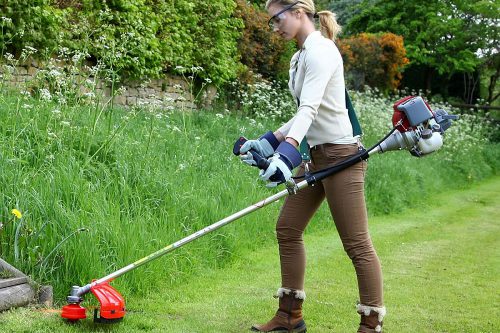 Best grass trimmers